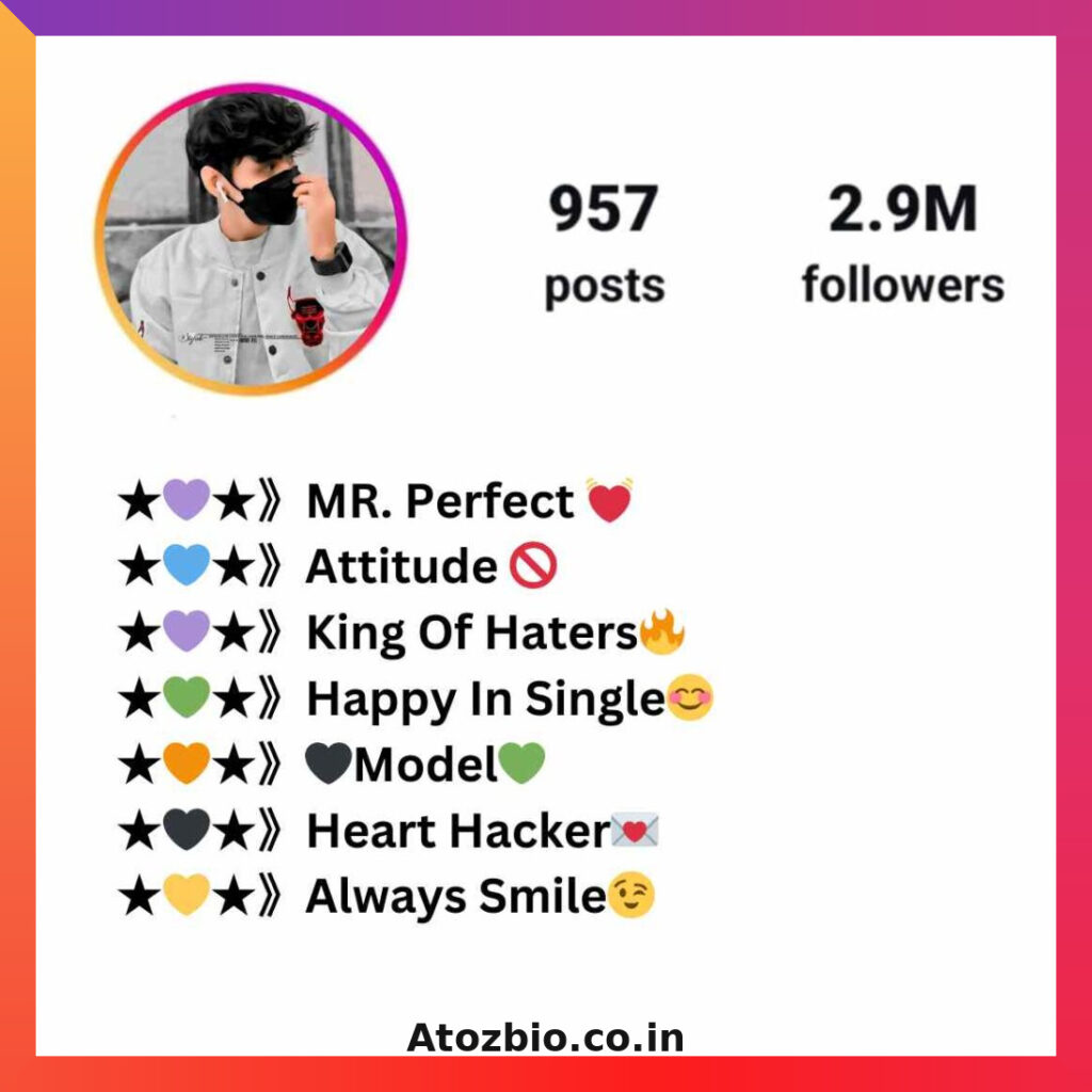 Badmashi Bio For Instagram (2)