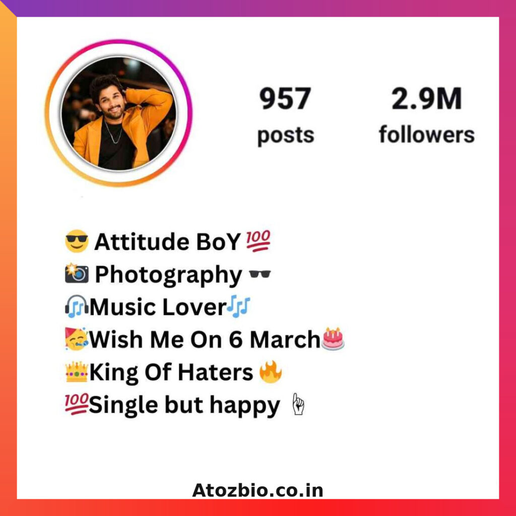 Instagram Bio For Boys (3)