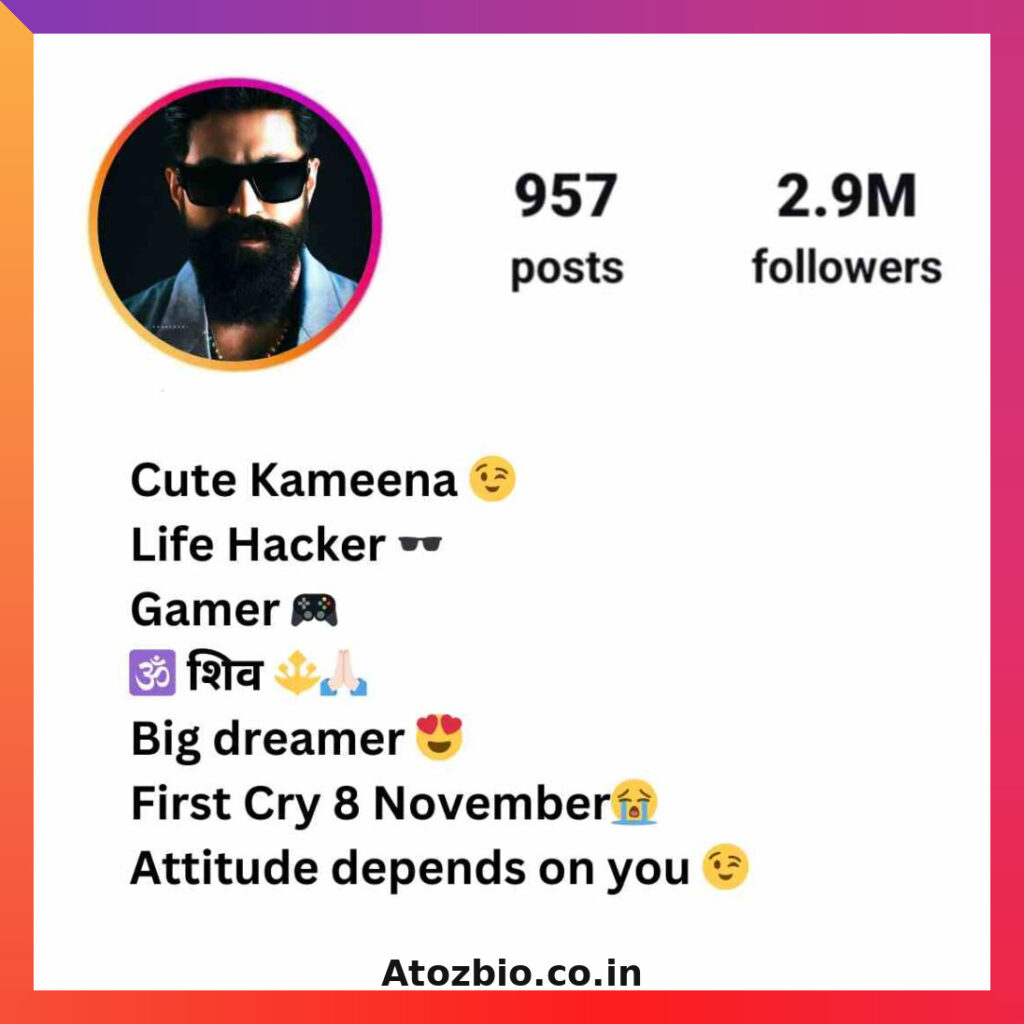 Instagram Vip Bio Stylish Font (3)