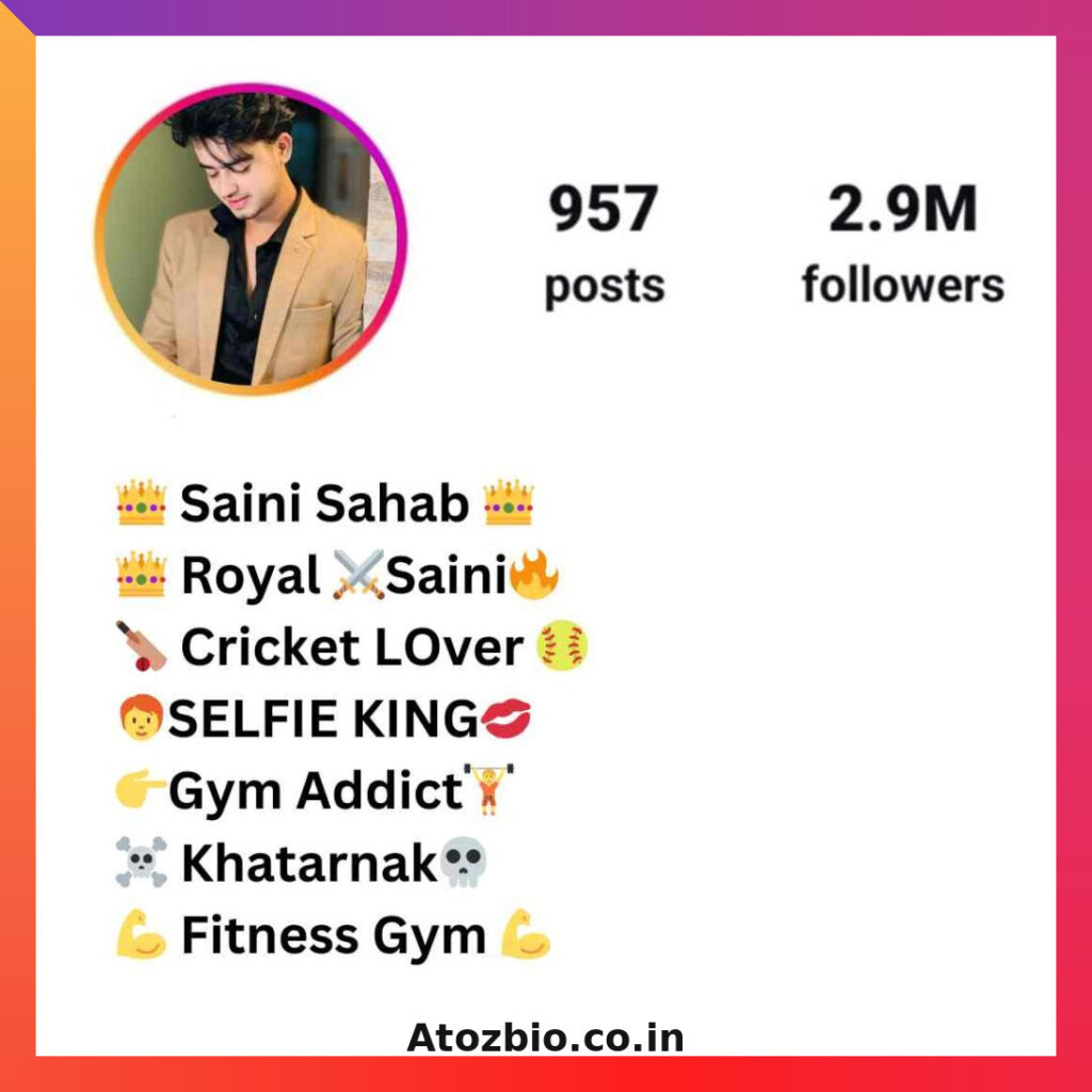 Saini Bio For Instagram (3)